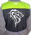 fantasy lion back ylo